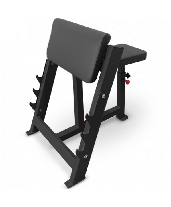Скамья Скотта BRONZE GYM PARTNER AL-303 