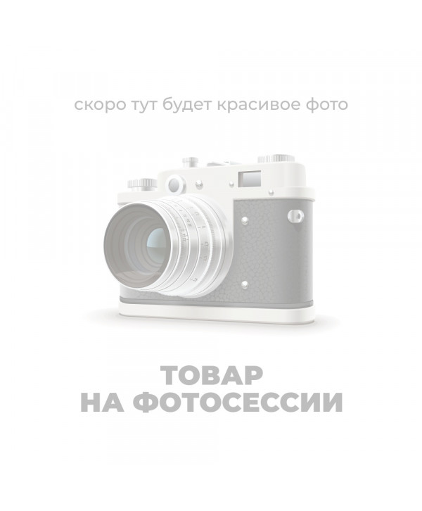 Сани для кросфита BRONZE GYM PARTNER FL-12
